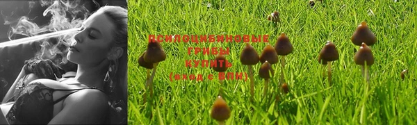 мет Магадан
