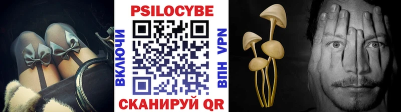 Галлюциногенные грибы GOLDEN TEACHER  Купить где  Ленинградская 